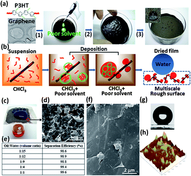 (a) The fabrication process for superhydrophobic composite films. (1) P3HT and GNs are mixed to form a tan-colored suspension; (2) gradual addition of a poor solvent/nonsolvent induces aggregate formation in solution and on GNs, as well as occurrence of gelation after partial removal of solvents; (3) a dried composite film in a petri dish exhibits superhydrophobicity (denoted by spherical water droplets). (b) Synergistic self-organization mechanism for rapid fabrication of superhydrophobic GN-P3HT composite films. (c) The GN-P3HT composite film coated on a metal mesh was used to separate octane (red) and water (dyed with methyl blue, above the mesh). (d) SEM image showing that the GN-P3HT composite film coated on the metal mesh is porous (as denoted by red dash lines), which allows octane to flow through; the scale is 100 μm. (e) Separation efficiency of the GN-P3HT composite film for different oil–water mixtures. (f) SEM image of the 35 wt% P3HT composite film surface. (g) The 35 wt% P3HT composite film shows a water contact angle of 159.2°. (h) AFM image of the 35 wt% P3HT composite film shows that a large amount of small protrusions (50–70 nm in lateral sizes and 5–50 nm in height) and large aggregates (200–300 nm in lateral sizes and 20–40 nm in height).