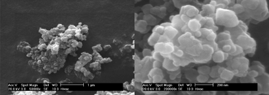 Representative SEM images of ZIF-templated carbon BF-900.