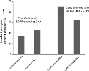Transfection efficiencies (HeLa cells) and gene silencing efficiencies (HeLa-EGFP cells) with cationic hydroxyapatite/PEI/DNA/PEI nanorods in comparison with the liposomal transfection agent Lipofectamine.