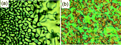 Textures of BR2 as observed between crossed polarizers (a) NcybC at T = 99 °C and (b) in the Colrec phase at T = 40 °C.