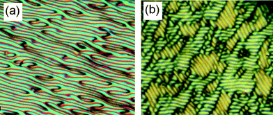 Electrohydrodynamic instabilities as seen for the nematic phase of BR2 in a 6 μm polyimide coated ITO cell (a) at T = 75 °C, 10 Hz, 160 Vpp and (b) at T = 75 °C, 10 Hz, 200 Vpp.