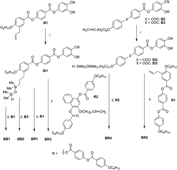 Synthesis of compounds BB1, BB2 and BR1–BR4; reagents and conditions: (i) H–Me2SiOMe2Si–H, Karstedt's catalyst, dry toluene, T = 25 °C, 12 h, (ii) Karstedt's catalyst, dry toluene, T = 25 °C, 12 h.22