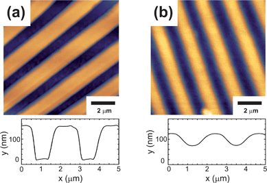 
            AFM topography images and the corresponding profile plots of (a) pure imprinted PEDOT:PSS channels and (b) coated channel structures. The pristine structures show a rectangular shape, whereas additional spin coating with a polymer blend layer leads to a wavy surface.