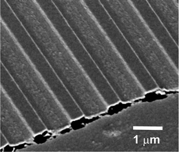 The side view SEM image of the channel structures reveals a homogeneous polymer layer underneath.