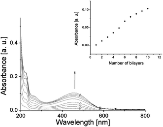 
            UV-Vis
            absorption spectra of [Ak-St-H/P3TOSNa]x multilayer films. Inset: dependence of the absorption at λ = 420 nm on the number of bilayers.