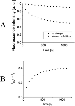 A) Normalized fluorescence intensity at emission maximum as a function of time for 2 bilayers-thick film with (triangles) and without (squares) butyl viologen solubilized. B) The difference in fluorescence intensities without and with viologen solubilized as a function of time.