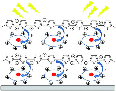 Schematic structure of the LbL films with entrapped viologen molecules (circles) illustrating the photoinduced electron transfer process.