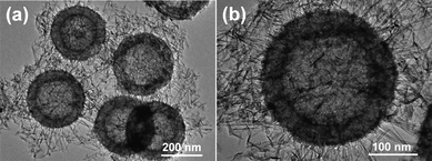 TEM images of the GHCS–MnO2-64 composite with different magnifications.