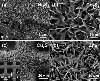 
            SEM images of a series of oriented metal sulfide nanostructures grown by a general solution route on corresponding metal substrates to demonstrate the generality of this route: (a) Ni3S2, (b) Co9S8, (c) Cu2S and (d) ZnS nanostructures.27