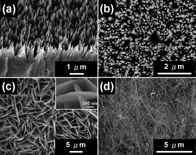 
            SEM images of various zinc sulfide nanostructures grown by the thermal evaporation method: (a) ZnS NW arrays, (b) ZnO–ZnS heterojunction NW arrays, (c) intercrossed sheet-like Ga-doped ZnS nanostructures and (d) CoxZn1−xS nanowires.11,34,35