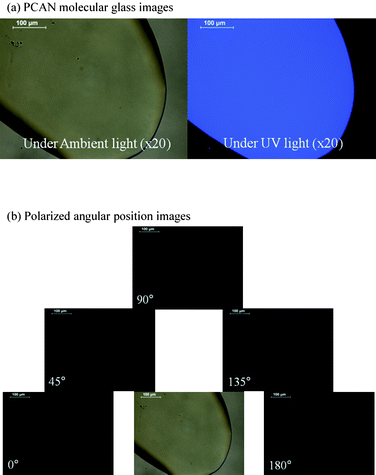 Polarized optical microscope (POM) images of PCAN molecular glass ((a) PCAN molecular glass images and (b) polarized angular position images for the birefringence test).