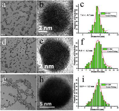
          TEM images and size statistics for Fe3O4 NPs: (a,d,g) low resolution, (b,e,h) high resolution, (c,f,i) size distribution of different sized Fe3O4 NPs.