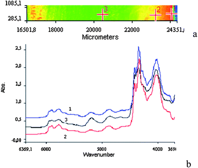 (a) Full absorbance of a sample of gradient semi-IPN containing an average concentration of 20.38% PHEMA and (b) three NIR spectra of gradient semi-IPN measured at the surface (1), 1 mm from the surface (2) and in the middle of the sample (3).