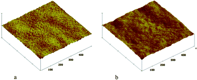 Tapping mode AFM, topography, scan size 500 nm × 500 nm, polyurethane (a); polyHEMA (b).