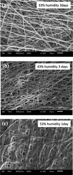 Effect of relative humidity on the morphology of collagen fibers. SEM images of electrospun in situ crosslinking collagen fibers at humidity of 33% for 3 days (a), 43% for 3 days (b) and 53% for 1 day (c).