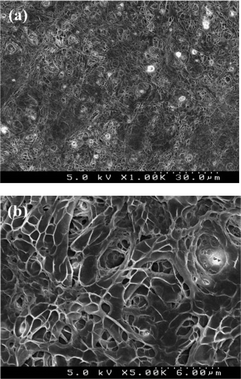 SEM images of electrospun in situ crosslinking collagen scaffolds after water-treatment at low (a) and high (b) magnifications.