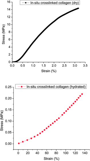 Representative plots of stress–strain curves to demonstrate the difference in behavior of in situ crosslinked collagen dry and hydrated samples.