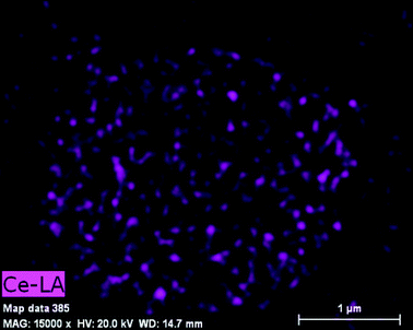 Ce elemental mapping image by EDS measurement.