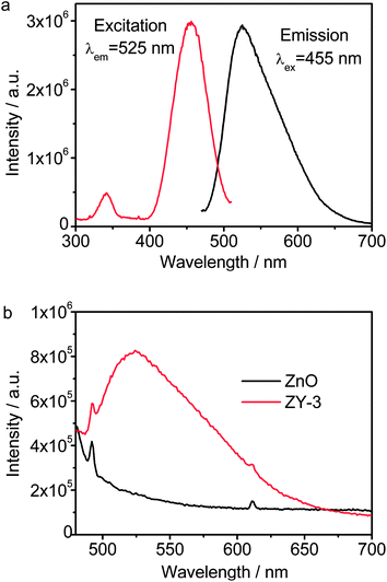 (a) PL excitation and emission spectra of Y3Al5O12:Ce3+ and (b) PL emission spectra of ZnO and ZY-3.