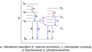The proposed mechanism of solar thermal conversion.