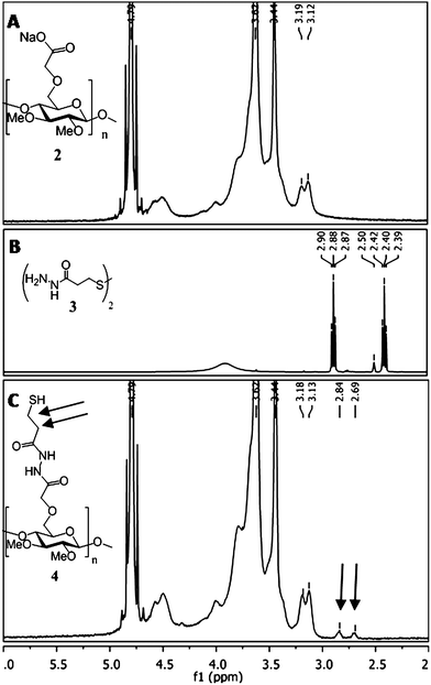 Characterization of methyl cellulose functionalized with a thiolated linker.1H NMR spectra of (A) carboxylated-methyl cellulose (2, in D2O) and (B) 3,3′-dithio-dipropanylhydrazide (3, in (CD3)2SO). (2) and (3) were conjugated together using the coupling reagent DMT-MM to afford sulfhydryl-methyl cellulose (4). (C) 1H NMR spectra of (4) in D2O, showing the inclusion of the ethylene protons (2.84 and 2.69 ppm, black arrows) of the hydrazide linker to the polysaccharide backbone.