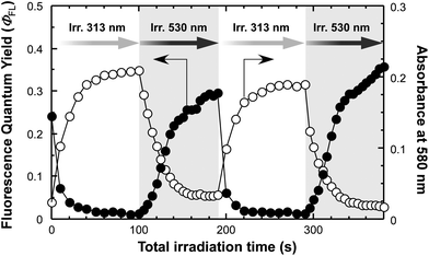 Continuous changes in absolute fluorescence quantum yields (ΦFL) (closed circles) and absorbances at 580 nm (open circles) of a BDTH–PM film as a function of total irradiation time of alternating 313 nm (white region) and 530 nm (gray region) light. The increase of absorbance at 580 nm by irradiation with 313 nm light is attributed to photocyclization from BDTH-O to BDTH-C, thereby resulting in the decrease of ΦFL from PM, and vice versa with 530 nm light.