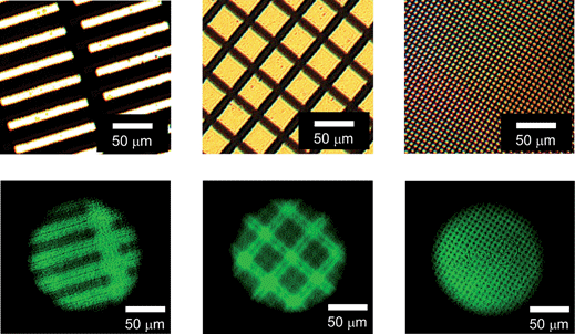 Micropatterned images of laser emission from the CC-L cavity, which was inscribed beforehand by irradiation with 313 nm light through various photomasks. The upper images show microscopic transmission images of various photomasks used in this study and the lower images are microscopic images of micropatterned laser emission observed from the CC-L cavity. Optical excitation with 470 nm light was carried out through an objective lens with 5× to obtain a circular spot on the CC-L cavity with a diameter of ∼145 μm. The emission intensity was attenuated by ND filters to obtain clear microscopic images of laser emission. The white scale bars represent 50 μm.
