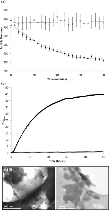 (a) Temporal DLS measurements of varying z-average diameter of POFe in the presence (closed circles) and absence (open circles) of a magnetic field. (b) Temporal UV-vis transmittance (700 nm) measurements of POFe in the presence (closed circles) and absence (open circles) of a magnetic field magnetic field. (c) TEM micrograph of POFe dispersion (i) before and (ii) after 80 minutes exposure to a magnetic field.