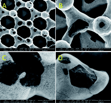 Secondary electron SEM micrographs of partially graphitized electrodes.