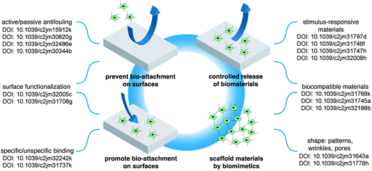 Overview over the articles found in this themed issue.