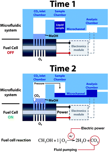 Operation principle of the fuel cell-powered microfluidic platform.