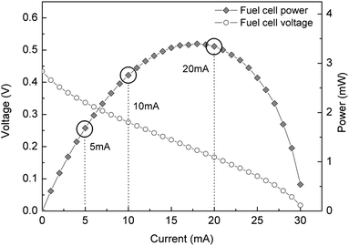 Polarization curve from the micro fuel cell used for this study, indicating the output currents at which the characterization was performed.
