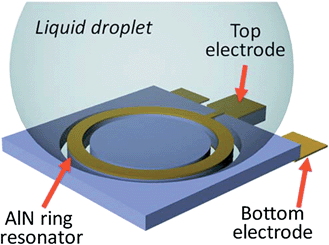 The contour mode FBAR has a suspended circular-shaped AlN ring sandwiched between the top and bottom Au electrodes. A liquid droplet is in direct contact with the top electrode. The AlN ring is excited in its radial directions, in which the vibration displacement is parallel to the resonator/liquid interface. The shear viscous damping, instead of the squeeze damping in LE-mode FBARs, alleviates the acoustic energy loss and consequently results in high Qs.53Reproduction of the figure has been made with permission from the American Institute of Physics.
