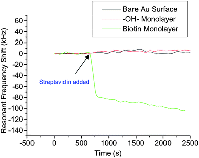 Comparison of resonant frequency shifts of three FBAR devices when exposed to streptavidin solution (5 × 10−7 M): the biotin immobilized (5 × 10−4 M EZ-Link™ biotin-HPDP, 24 h treatment) device showed significant resonant frequency drop (∼100 kHz), while with the 11-mercapto-1-undecanol coated device no noticeable shift was observed. Also the bare Au-coated device showed only a slight shift over a long period of time, probably due to nonspecific protein absorption on the gold surface.56Reproduction of the figure has been made with permission from the American Institute of Physics.