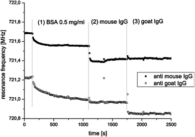 Parallel monitoring of two FBAR pixels; one with immobilized mouse anti-IgG, the other with immobilized goat anti-IgG. The sensors are rinsed with BSA first, then with mouse IgG and finally with goat IgG. It can be seen that BSA adsorbs on both pixels (1), mouse IgG binds only at the sensor functionalized with mouse anti-IgG (2), and goat IgG binds only on the pixels functionalized with goat anti-IgG (3).25Reproduction of the figure has been made with permission from Elsevier.