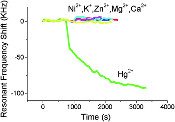 The effect of various metal ions on the resonant frequency of the FBAR coated with Au. The FBAR resonant frequency changes more than 100 kHz for 10−5 M Hg2+ while none of the other cations (all with a concentration of 10−4 M) can produce any significant frequency shift, indicating that the FBAR sensor could exhibit a high selectivity towards mercury ions over other challenging ions in water.39Reproduction of the figure has been made with permission from the Institute of Electrical and Electronics Engineers.