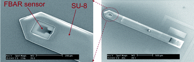 
            SEM pictures of a micromachined SU-8 microprobe on wafer.42Reproduction of the figures has been made with permission from the Institute of Electrical and Electronics Engineers.