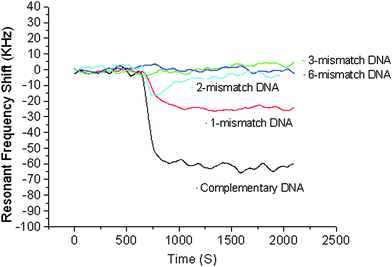 The resonant frequency shift of the FBAR on whose surface is immobilized with DNA. With the single-mismatch sequence, the resonant frequency shift was 35% (∼25 kHz) of that (∼70 kHz) obtained with the complementary sequence, while no noticeable resonance shift was observed with two or more mismatches, indicating the capability of distinguishing the c-DNA from a single-mismatch sequence with the FBAR sensor.48Reproduction of the figure has been made with permission from the Institute of Electrical and Electronics Engineers.