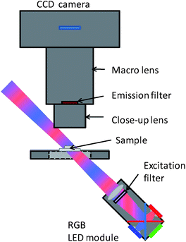 Schematic of the imaging setup.