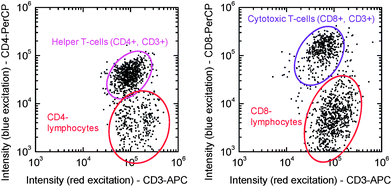 Fluorescence intensities of the automatically identified objects in images from a CD4/CD3 slide (left) and a CD8/CD3 slide (right) after 30 min incubation with whole blood from a finger prick.