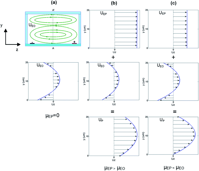 Transverse electroosmotic flow and electrophoresis in closed glass/PDMS microchannels (cross-sectional view). (a) Particles with μEP = 0 will recirculate with the same velocity as the EO flow. The channel centre EO flow profile across A–A′ was calculated by considering the one dimensional Navier–Stokes equation with an imposed conservation of mass condition. The slip velocity at the bottom surface is larger than at the top surface due to the higher zeta potential of glass compared to PDMS. (b) When the EP mobility is greater than the EO mobility, the net particle velocity (UP) is always positive so particles can traverse the channel width ultimately accumulating at the biased electrode. (c) When the particle EP mobility is similar to the EO mobility of the solution the particle velocity (UP) close to the wall is expected to be close to zero. Due to the recirculation profile, it is expected the particles will ultimately migrate to an equilibrium position where the net velocity is zero (either at the wall or in the centre of a vortex).