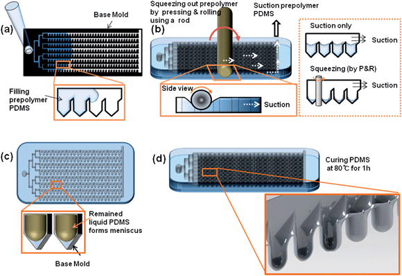 Schematic diagram of the fabrication of an array of meniscus-induced deep concave wells in a microfluidic chip; (a) PDMS prepolymer was introduced into the base channel of the microfluidic chip, (b) PDMS prepolymer in the microfluidic chip was squeezed out by pressing and rolling using a rod, (c) liquid PDMS remaining in the microfluidic chip spontaneously formed a meniscus, and finally (d) a deep concave microwell array was fabricated using the meniscus template.