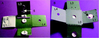 Microfluidic origami device for point-of-care nucleic acid extraction. A. Front side, B. Backside, 1. DNA filter, 2. Waste absorption pad with Mylar backing, 3. Sample loading cup, 4. Lysis/wash buffer storage and rehydration pad. 5. Buffer transport channel. 6. Contact stack. L1…L4: Layers that fold above and below layer L0. Figure reprinted from Govindarajan et al.2