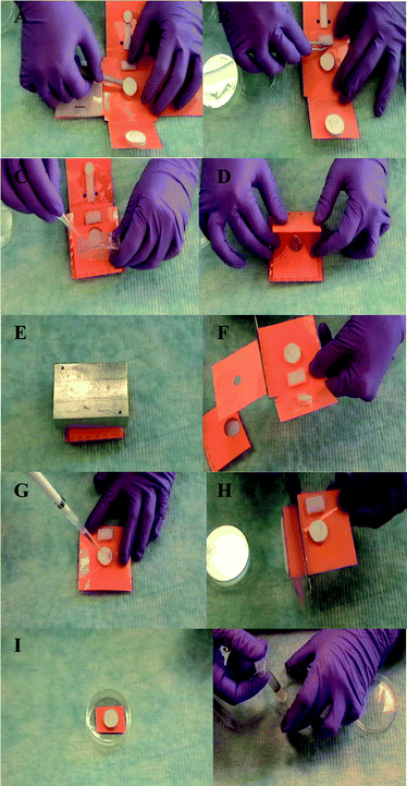 Microfluidic origami operation: raw sample - DNA extraction 1. Place fresh DNA binding filter on origami device (A). 2. Fold waste absorption pad below the filter and place lysis buffer storage pad/rehydrate buffer (B). 3. Fold sample loading cup above DNA binding filter and load sample into the cup (C). 4. Fold buffer transport channel (D). 5. Place weight on closed microfluidic origami device to ensure contact and capillarity during lysis operation (∼ 30 min) (E). 6. Unfold origami and cut and discard used/unwanted layers (F). 7. Wash DNA capture filter directly with 100% ethanol (G). 8. Cut off waste absorption pad (H). 9. Dry the DNA capture filter, e.g. on benchtop (I). 10. Elute DNA from filter in low salt solution (J). Note: The microfluidic origami is a low cost disposable device designed to process one sample per use. Gloves were changed after each use. Please refer to the supplemental video.
