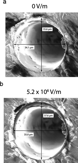 
            SEM images of a ∼ 35 μm diameter quartz pore in the (a) absence and (b) presence of applied electric fields. Electric fields were applied in the configuration shown in Fig. 2c. Increasing the electric field increases the diameter of the pore. The disparate increase in diameter in the x- and y-directions is due to the fact that the thickness shear mode was excited at an angle to the x- and y-axes.