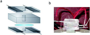 (a) Piezoelectric planar patch clamp system. Two blocks of PDMS with embedded electrodes are used to apply the electric fields. The quartz substrate is fixed between these blocks. A PDMS o-ring is placed atop the quartz substrate and is used to confine the electrolytic solution above the quartz. (b) Photograph of the setup described in (a).
