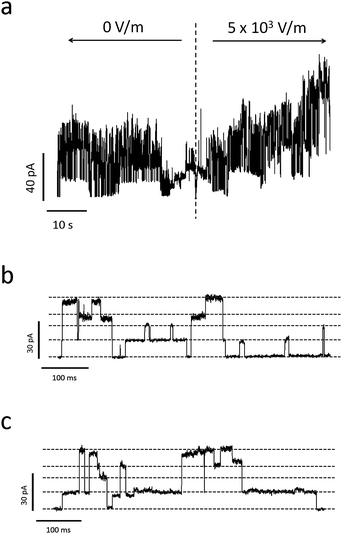 (a) Sample current trace of Alamethicin ion channels before and after applying a voltage bias to the PDMS-embedded electrodes used to induce piezoelectric actuation. The time of voltage application is indicated by the dashed, vertical line. Due to the piezoelectric nature of the quartz substrate, the electric field created by the electrodes mechanically actuates the substrate, inducing tension in the lipid membrane. This increase in tension increases the probability of Alamethicin ion channels to form larger conductance states, which is apparent in this trace. (b) and (c) represent zoomed-in current traces of Ala ion channel formation before and after applying piezoelectric deformation, respectively. Dashed gray lines represent discrete conductance states (note that some of these states represent combinations from multiple ion channels). A comparison of (b) and (c) reveals an increased tendency for the Ala ion channels to exist in excited, non-ground level states with piezoelectric deformation.
