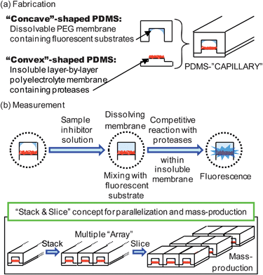 General concept for the combinable-PDMS capillary sensor array.