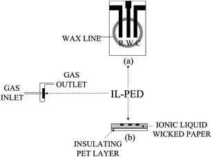 Layout (a) and cross-section (b) of the RTIL-PED sensor adopted in flow injection analyses. R, pseudo-reference electrode; W, working electrode; C, counter electrode.