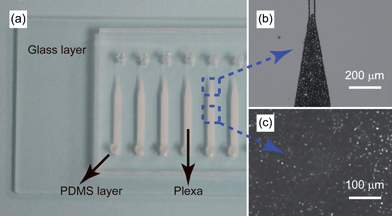Integrated on-chip micro-SPE columns. (a) Photograph of the on-chip micro-SPE column. (b) The triangular end of a micro-SPE column. (c) Particles tightly accumulated in the channel.